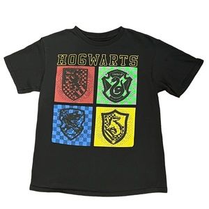 Harry Potter Wizarding World T Shirt Hogwarts Houses Size Large 14-16
